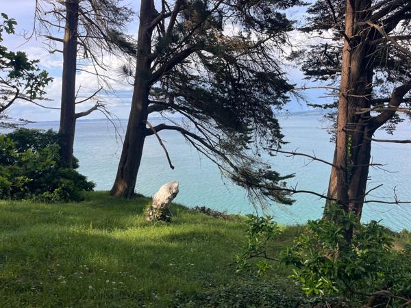 Vente Château Douarnenez 15 Pièces 600 m²