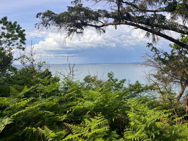 Vente Château Douarnenez 15 Pièces 600 m²