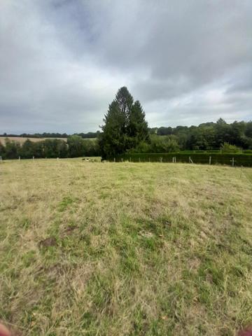 TERRAIN A VENDRE