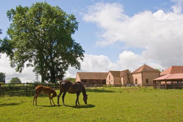 En bourbonnais Château du XIXe siècle au cœur d’un domaine équestre de 40 hectares