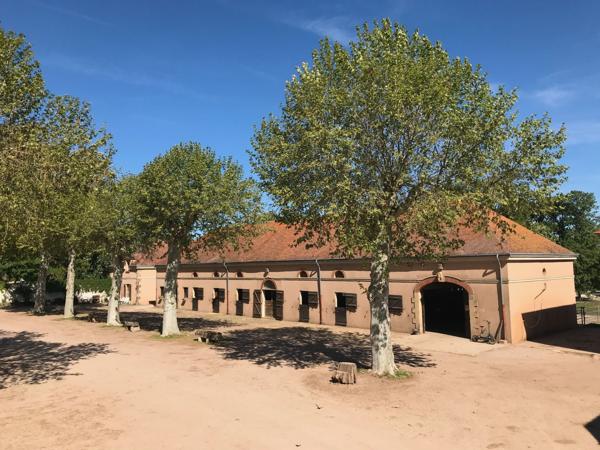 En bourbonnais Château du XIXe siècle au cœur d’un domaine équestre de 40 hectares