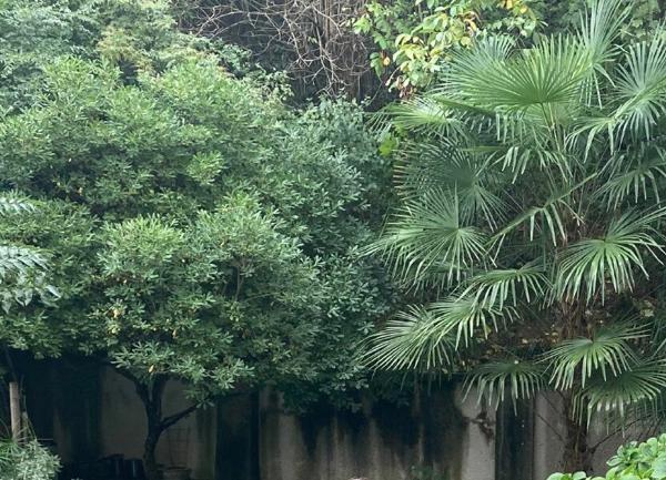 Maison à vendre    5 pièces •  Bon-Encontre