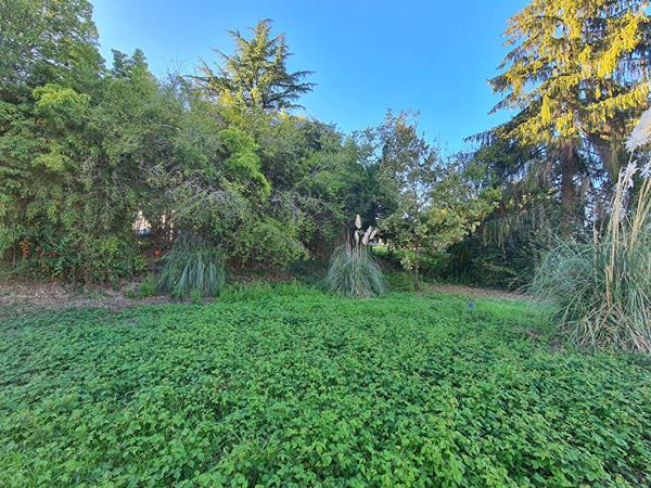 Terrain 444 m2