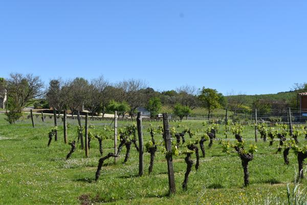Terrain à vendre à Anglars-Juillac (46140) - Lot