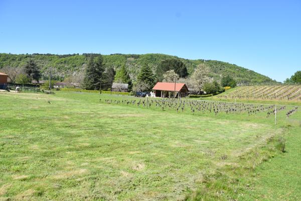 Terrain à vendre à Anglars-Juillac (46140) - Lot