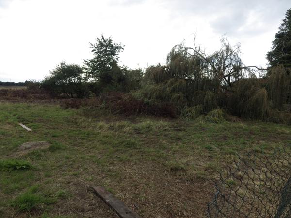 Achat terrain près de Mennessis - 1984 m² - 59 000 €