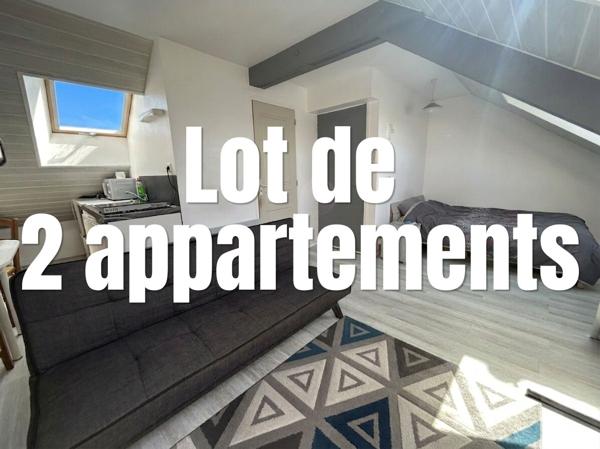 Ensemble de 2 appartements centre-ville