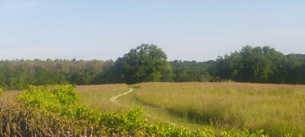 Bourg-de-Visa (82190) Bourg de Visa Domaine éco-responsable avec quatre habitations indépendantes, revenus locatifs et 6 hectares