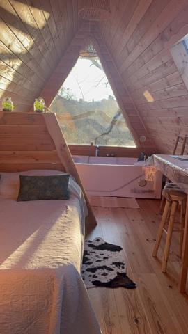 Bourg-de-Visa (82190) Bourg de Visa Domaine éco-responsable avec quatre habitations indépendantes, revenus locatifs et 6 hectares