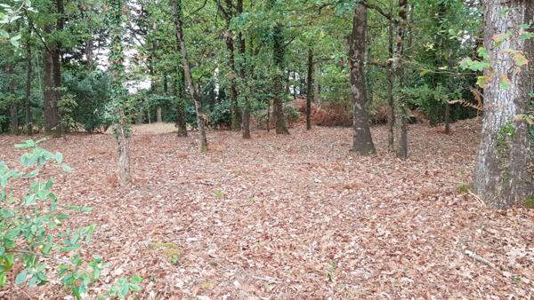 Notre Dame De Riez terrain constructible 591 m2