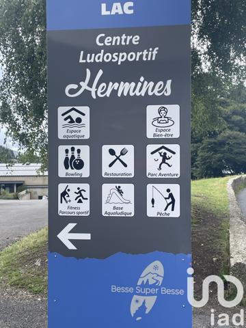 Appartement à vendre 1 pièce 31 m² Besse-et-Saint-Anastaise