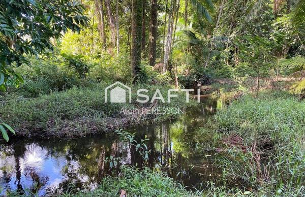 CHAMPS VIRGILE - Propriété de charme 230m2 / 1 hectare plat & jolie crique