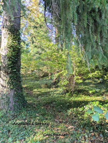 EN EXCLUSIVITE LONS LE SAUNIER (39) MAISON DE VILLE 5 min du centre-ville – Jardin