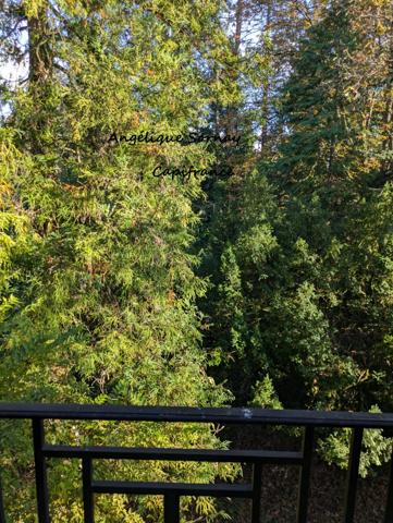 EN EXCLUSIVITE LONS LE SAUNIER (39) MAISON DE VILLE 5 min du centre-ville – Jardin