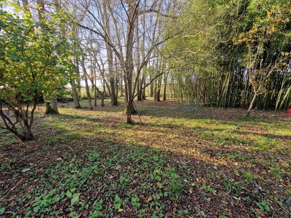 Propriete à vendre 11 pièces proche de SURGERES (17)