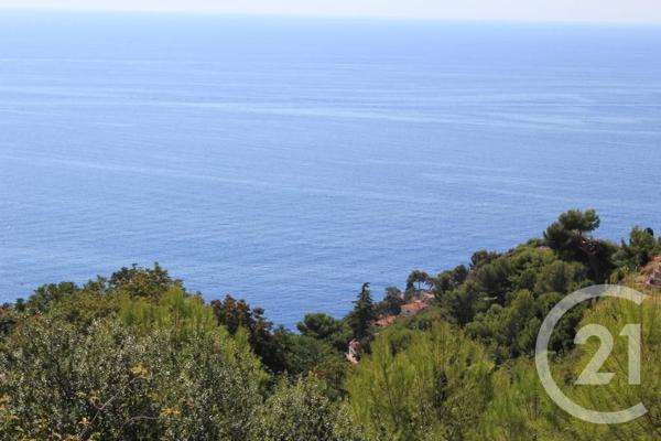 Terrain à vendre  1500 m2 EZE - 06