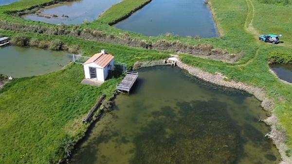 Terrain de loisir à poissons de plus de 2 hectares
