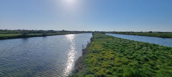 Terrain de loisir à poissons de plus de 2 hectares