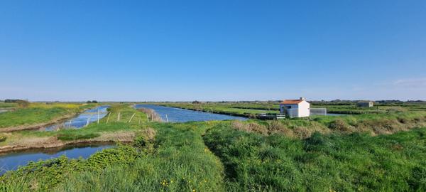 Terrain de loisir à poissons de plus de 2 hectares