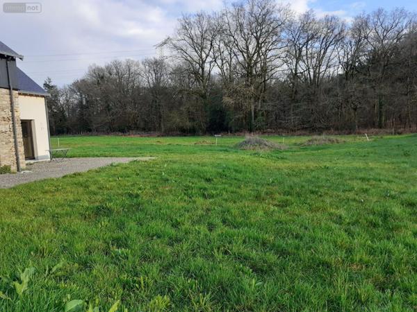 Maison à louer à Châteaubourg en Ille-et-Vilaine (35220), ref : 35131-220
