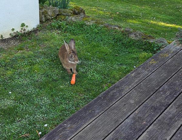 Maison secteur Marciac 6 pièce(s) 123 m2