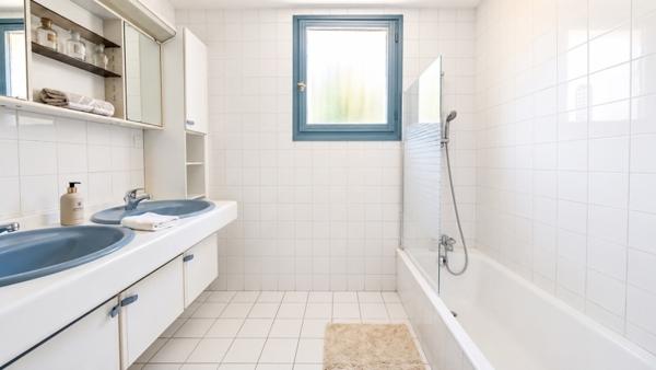 Maison 399 000 € La Tour-du-Pin 8 p 215 m² DPE D