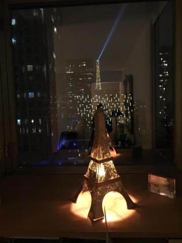 Appartement Paris 15e avec vue sur la Tour Eiffel