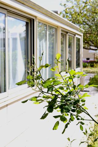 Une surprenante maison ....