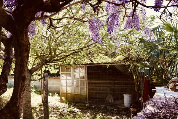 Une surprenante maison ....