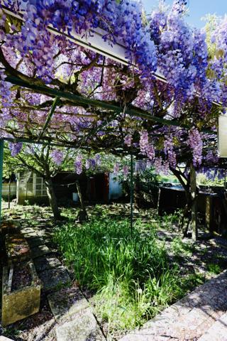 Une surprenante maison ....