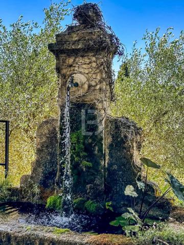 Villa de charme aux portes de Mouans-Sartoux
