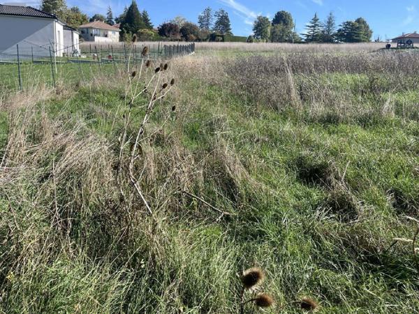 Terrain à Batir à vendre à Ribérac en Dordogne (24600), ref : 077/1645