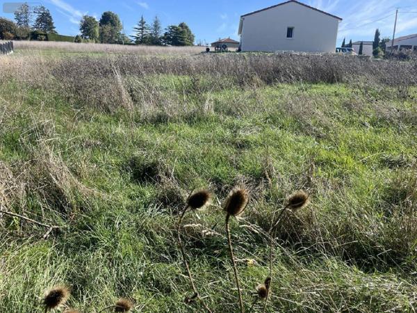 Terrain à Batir à vendre à Ribérac en Dordogne (24600), ref : 077/1645