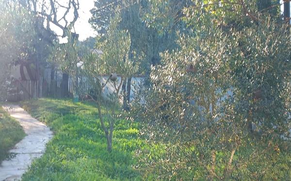 Maison à vendre    8 pièces •  Saint-Pierre-d'Oléron