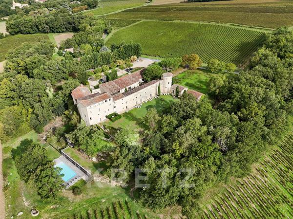 Château de prestige au milieu des vignes, proche Gaillac & Albi