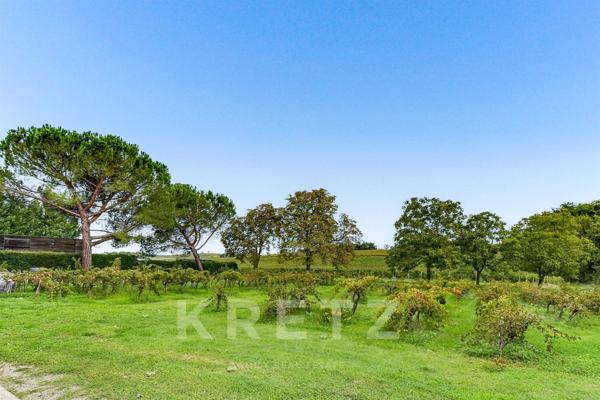Château de prestige au milieu des vignes, proche Gaillac & Albi