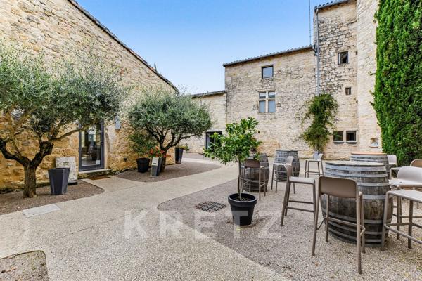 Château de prestige au milieu des vignes, proche Gaillac & Albi