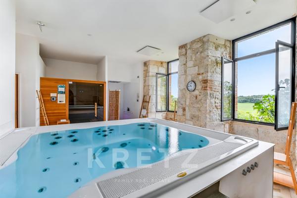 Château de prestige au milieu des vignes, proche Gaillac & Albi