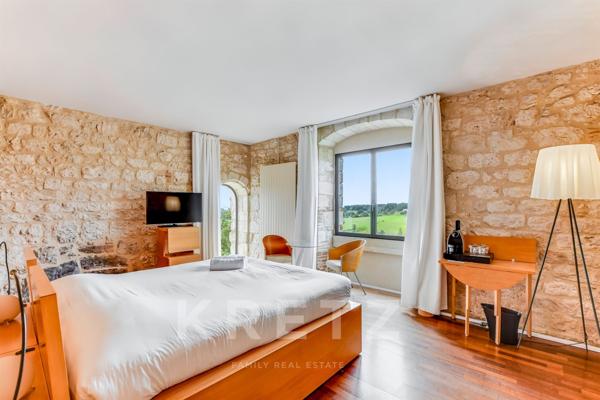 Château de prestige au milieu des vignes, proche Gaillac & Albi