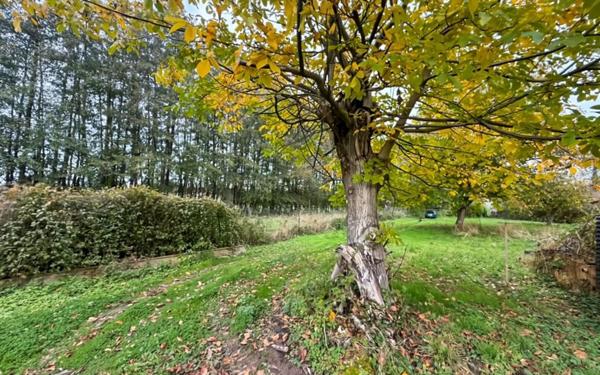 Maison à vendre    3 pièces • 100 m2 Ham-les-Moines