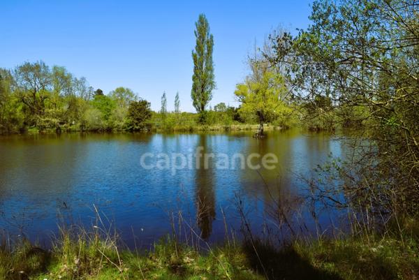 Maison à vendre 120 m2 6 pièces + ses deux appartements 40 et 30 m2 en RDC - SAINT URBAIN (85)