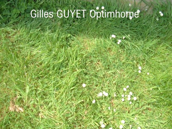 Terrain plat constructible de 1560M² Triangle BERNAY/BROGLIE/ORBEC 34900€ (27)