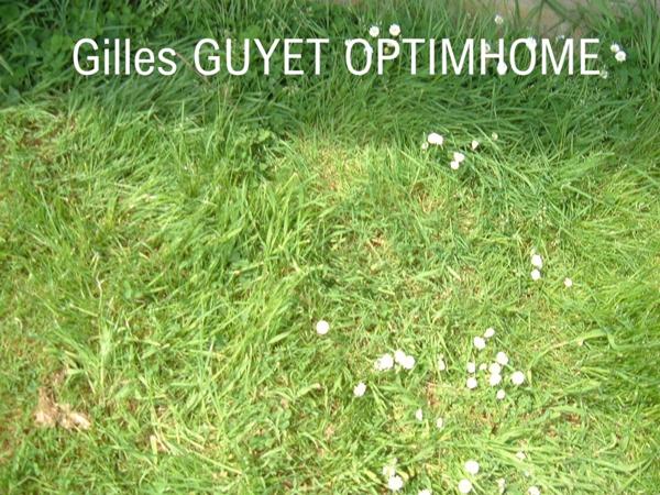 Terrain plat constructible de 1560M² Triangle BERNAY/BROGLIE/ORBEC 34900€ (27)