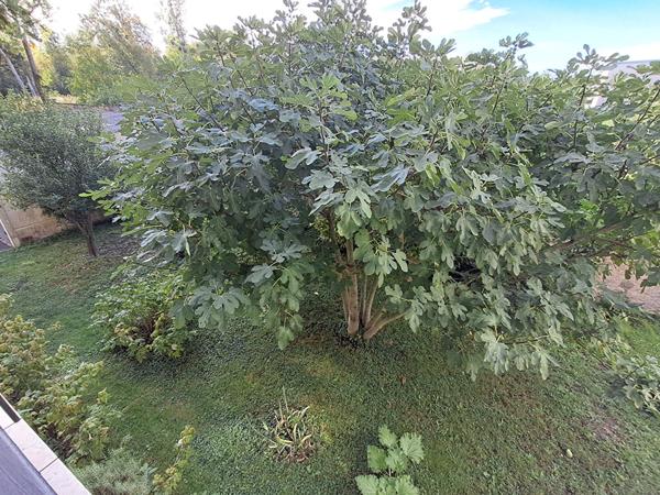 Appartement Montargis 3 pièce(s) 68 m2