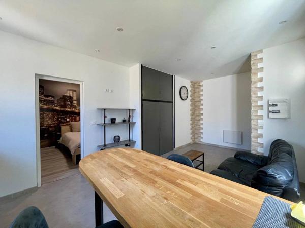 Aussillon 81200 – Elégante maison et appartement rénovés avec terrain et piscine