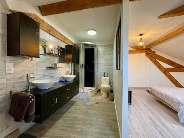 Aussillon 81200 – Elégante maison et appartement rénovés avec terrain et piscine