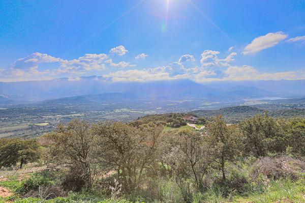 Achat terrain Monticello - 10000 m² - 525 000 €