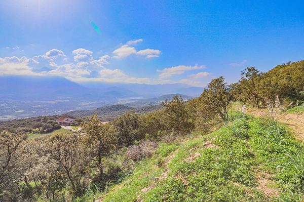 Achat terrain Monticello - 10000 m² - 525 000 €