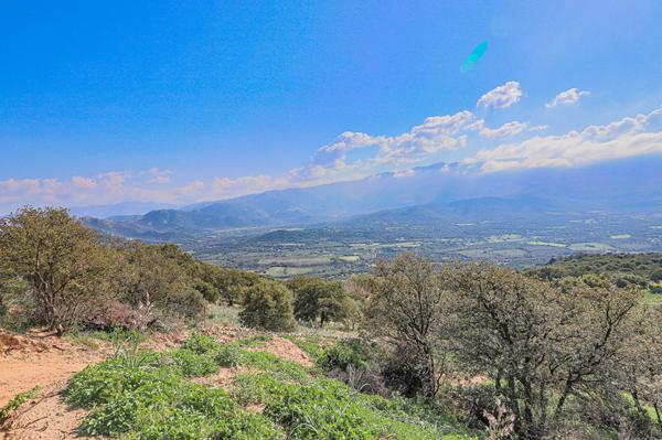 Achat terrain Monticello - 10000 m² - 525 000 €