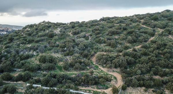 Achat terrain Monticello - 10000 m² - 525 000 €